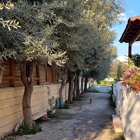 Magic Maisonette 250m From The